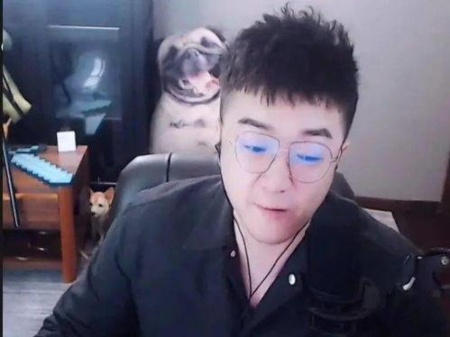 老歪爆料直播间最新视频,老歪最新视频内容大曝光! 第2张 老歪爆料直播间最新视频,老歪最新视频内容大曝光! 第2张