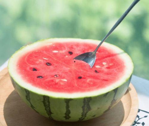 广东健身网红吃瓜,揭秘健身圈幕后故事 第1张 广东健身网红吃瓜,揭秘健身圈幕后故事 第1张