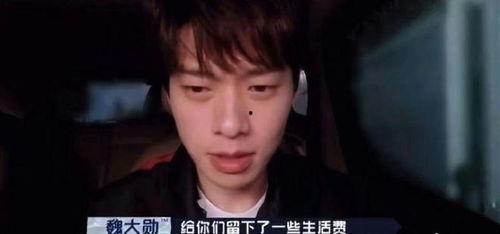 国外明星狗仔爆料视频播放,国外明星萌宠日常大揭秘 第1张 国外明星狗仔爆料视频播放,国外明星萌宠日常大揭秘 第1张